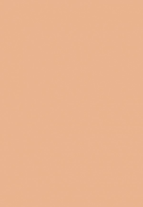 фото Консилер stellary