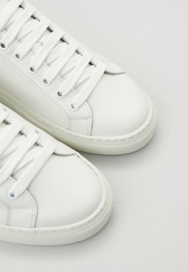 фото Кеды roberto cavalli