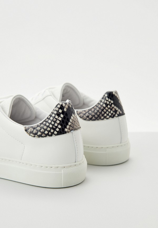 фото Кеды roberto cavalli