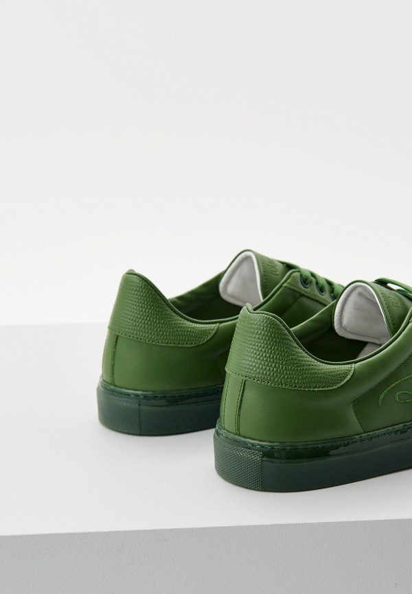 фото Кеды roberto cavalli