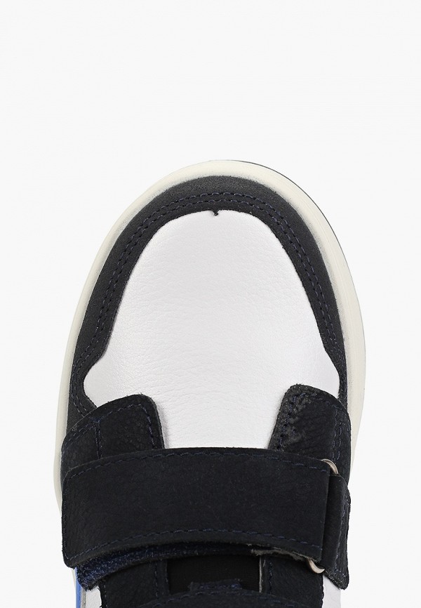 фото Кеды котофей