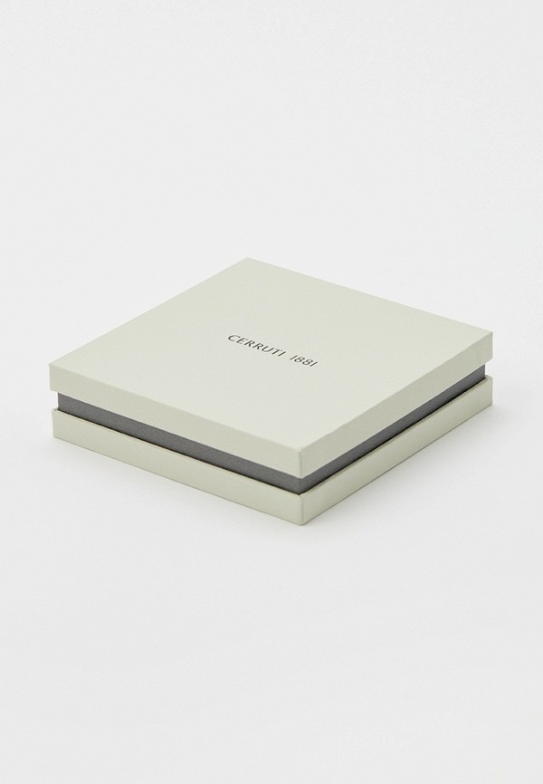 фото Серьги cerruti 1881