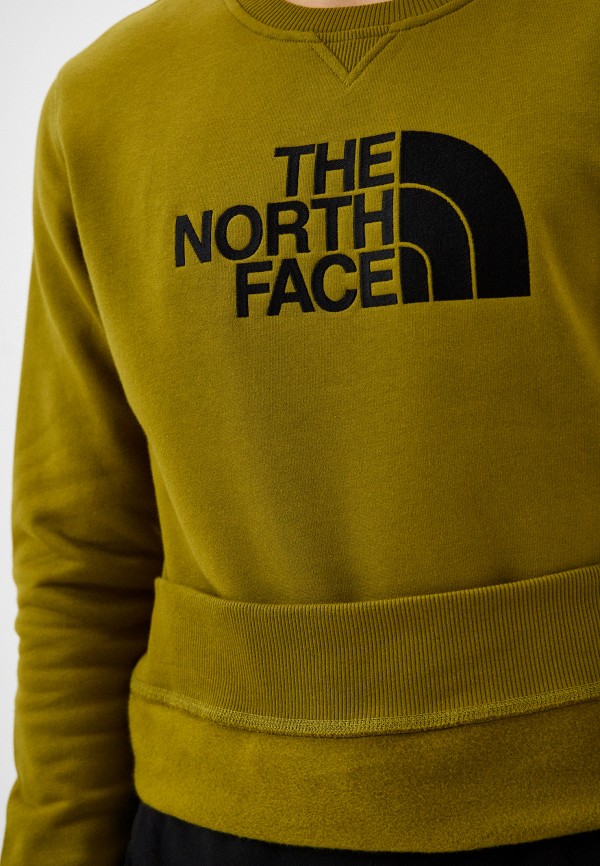 фото Свитшот the north face