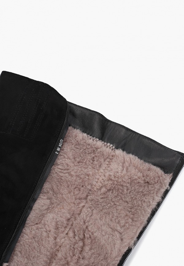 фото Ботфорты aimosi