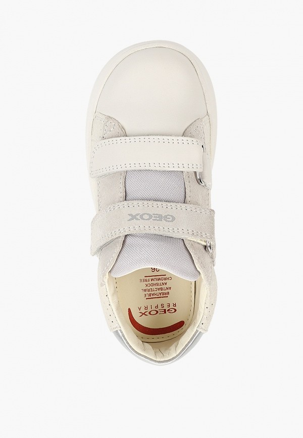 фото Кеды geox