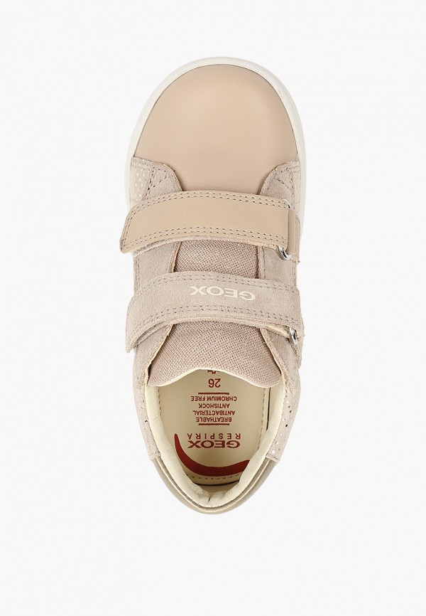 фото Кеды geox