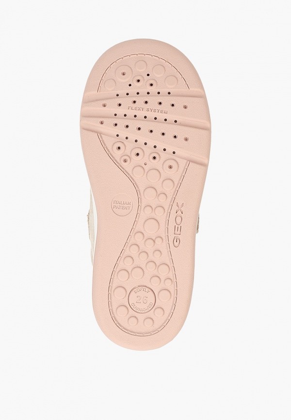 фото Кеды geox