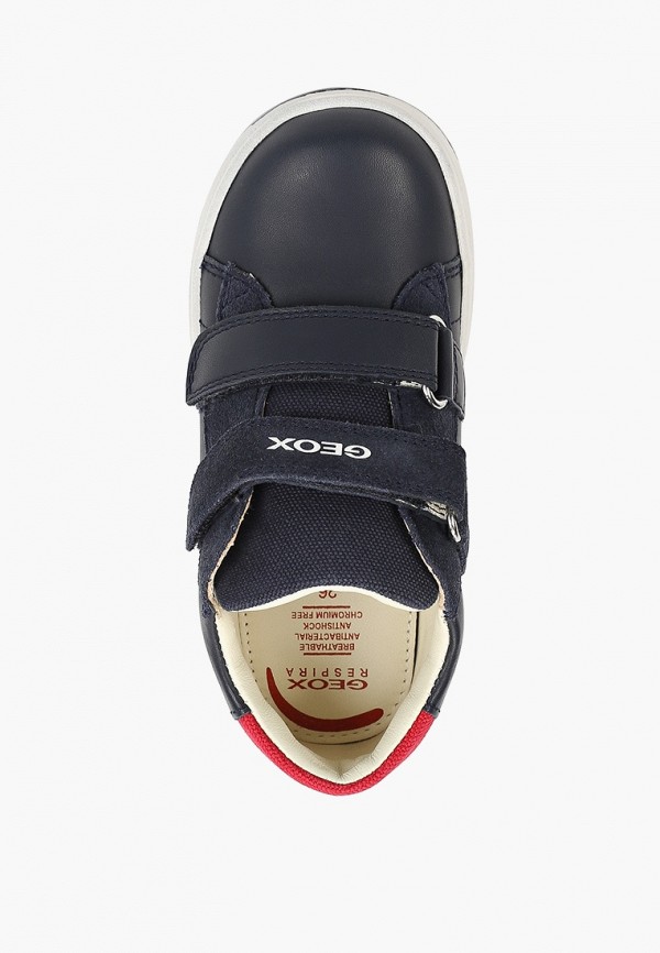 фото Кеды geox