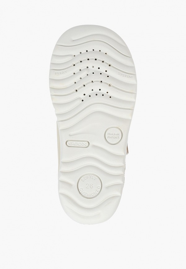 фото Кеды geox