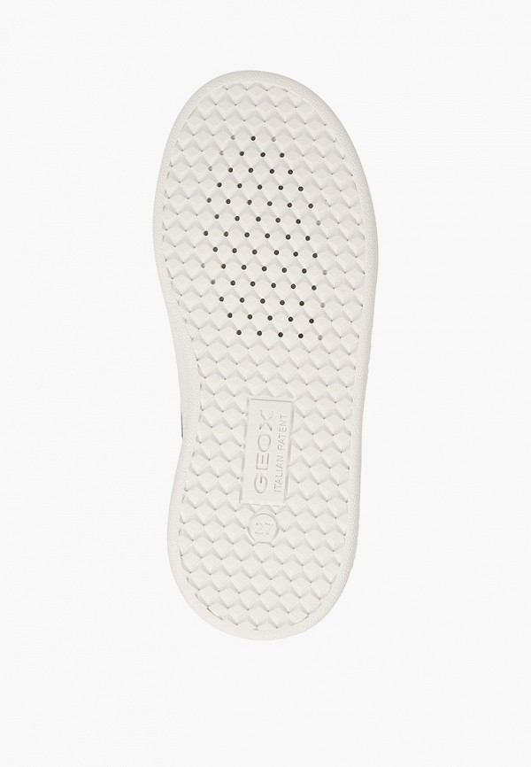 фото Кеды geox