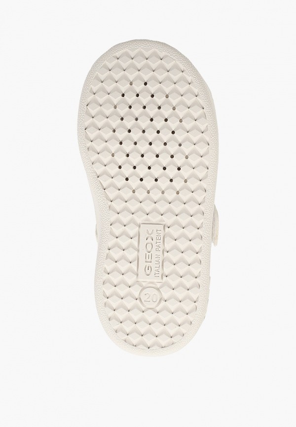 фото Кеды geox