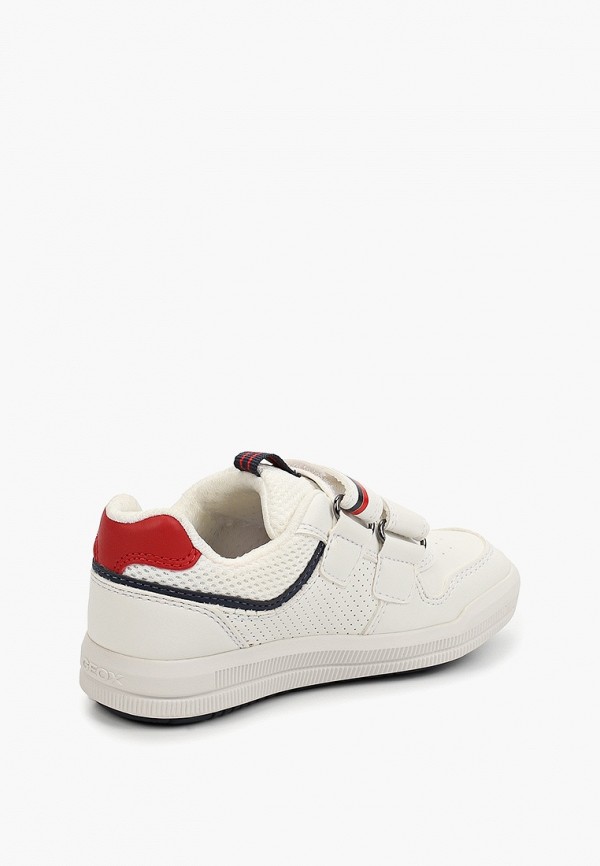 фото Кеды geox