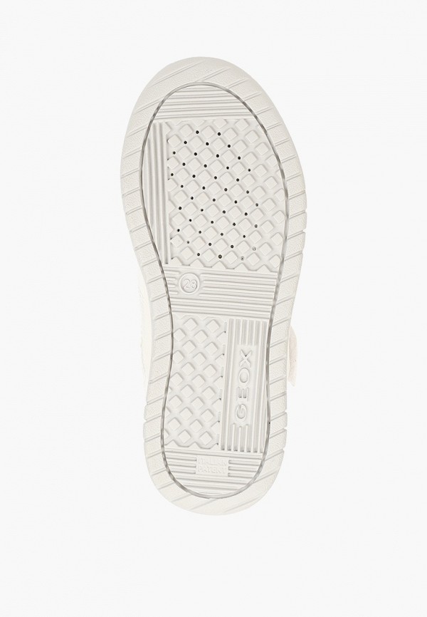 фото Кеды geox