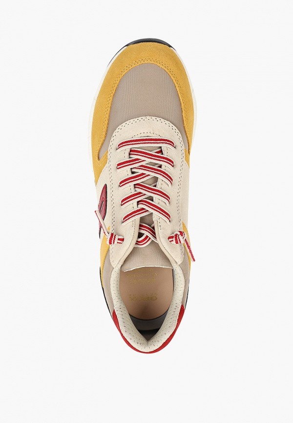 фото Кроссовки geox