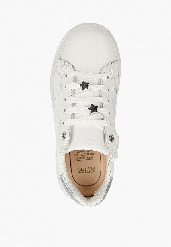 фото Кеды geox