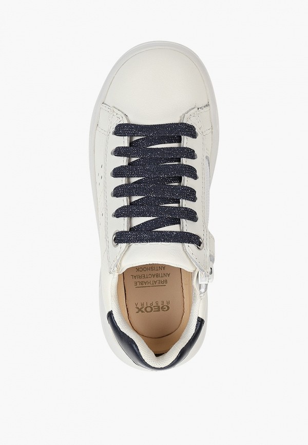 фото Кеды geox