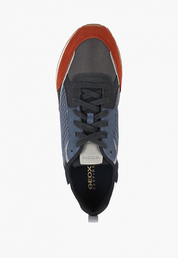 фото Кроссовки geox