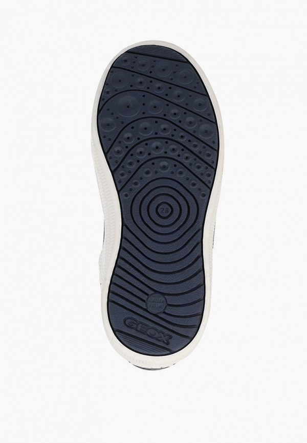 фото Кеды geox