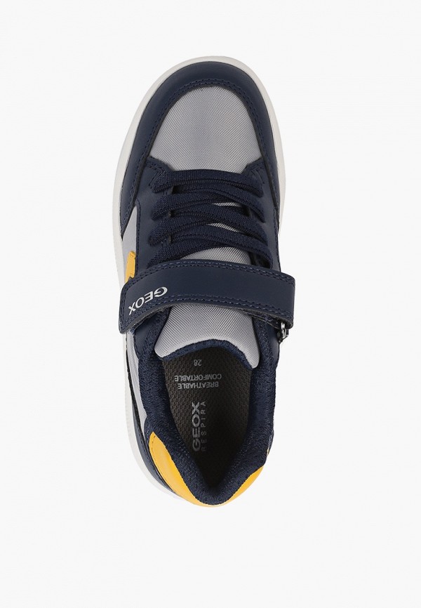 фото Кеды geox