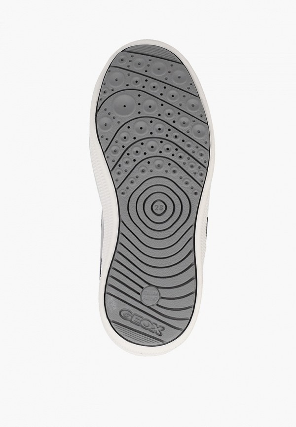 фото Кеды geox