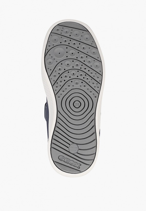 фото Кеды geox