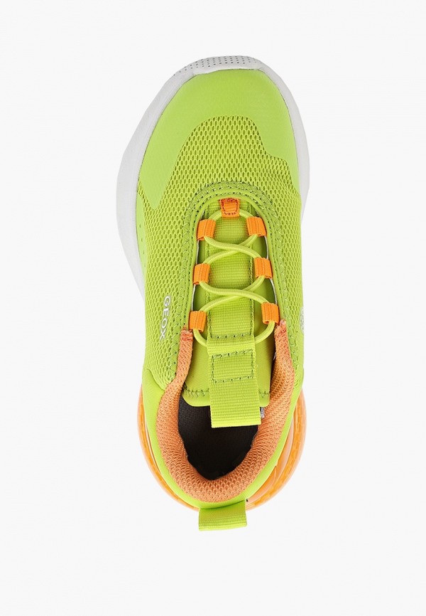 фото Кроссовки geox