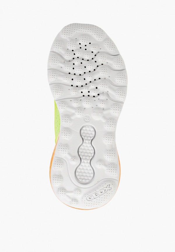 фото Кроссовки geox