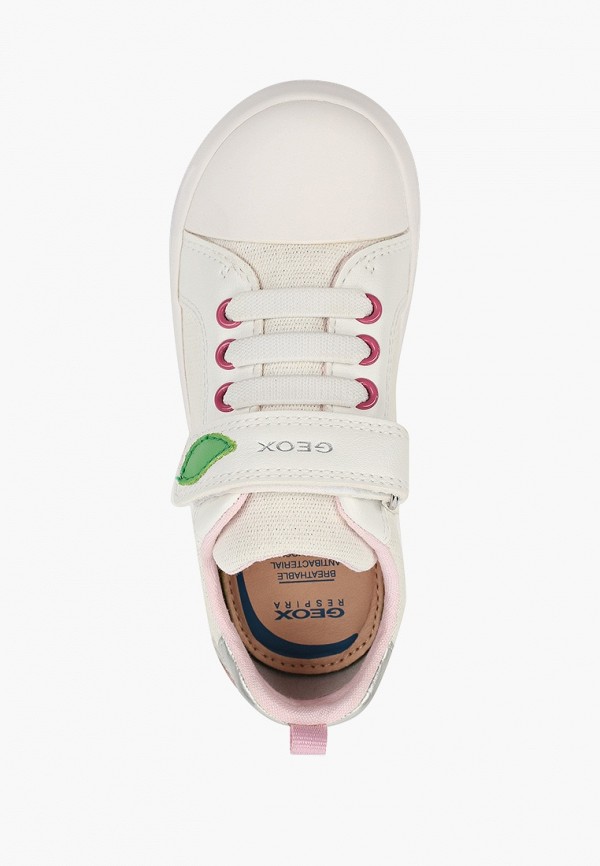 фото Кеды geox