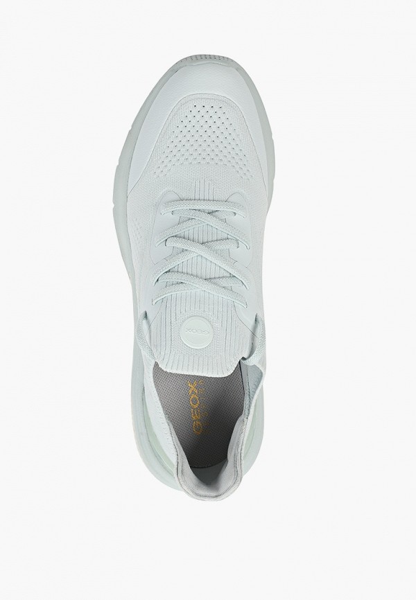 фото Кроссовки geox