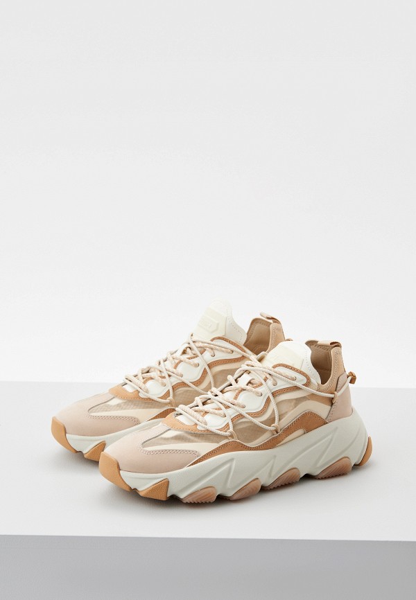 фото Кроссовки ash