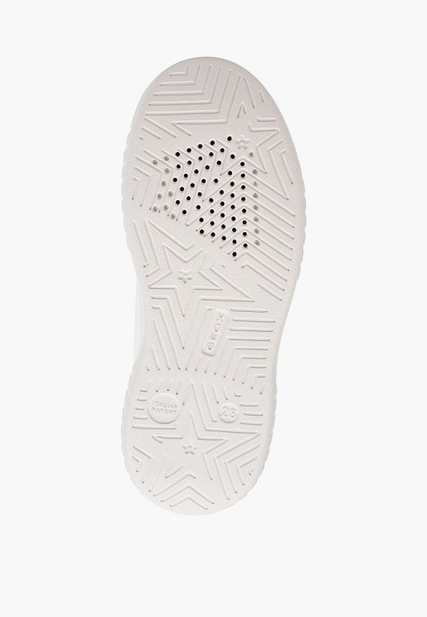 фото Кеды geox