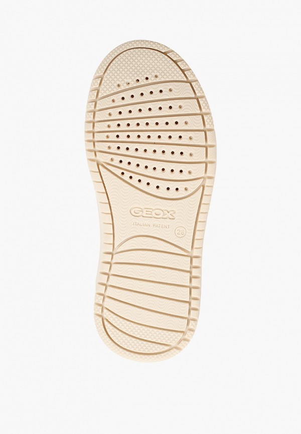 фото Кеды geox