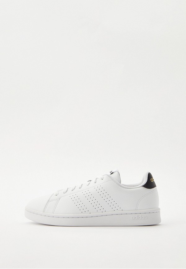 

Кеды adidas, Белый, ADVANTAGE