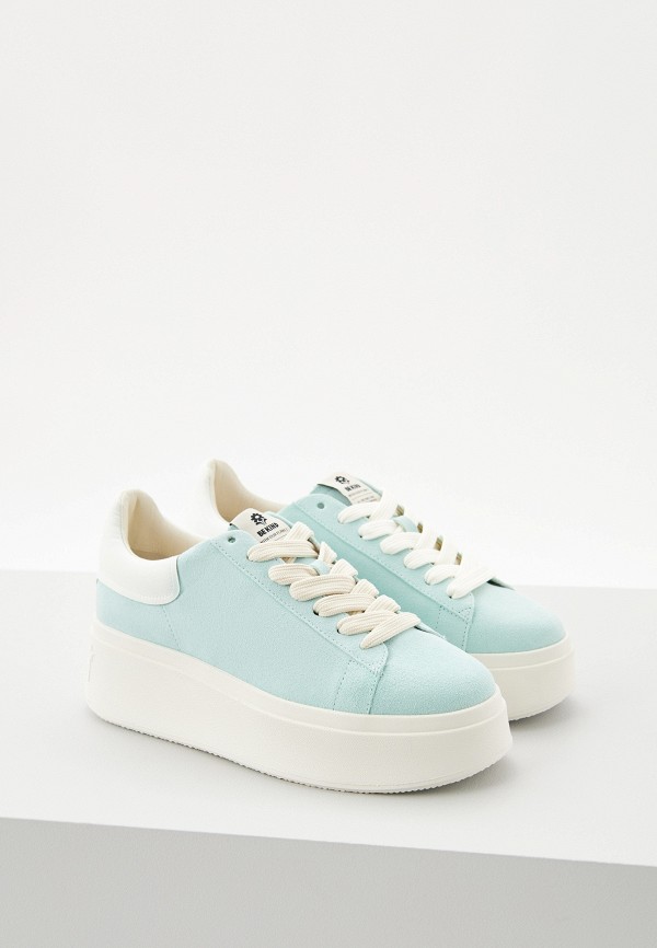 фото Кеды ash