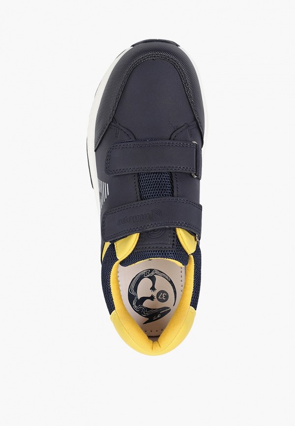 фото Кроссовки antilopa