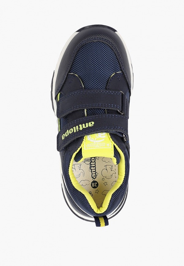 фото Кроссовки antilopa