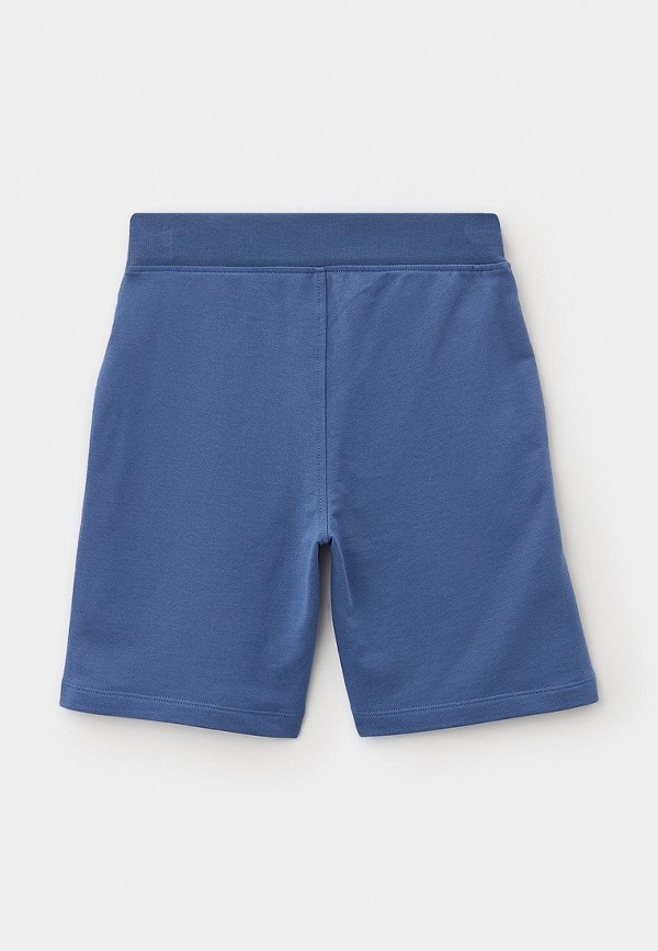 фото Шорты спортивные hackett london