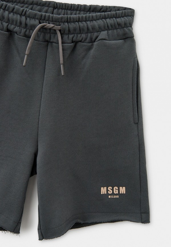 фото Шорты спортивные msgm kids