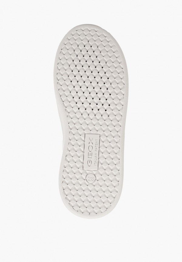 фото Кеды geox