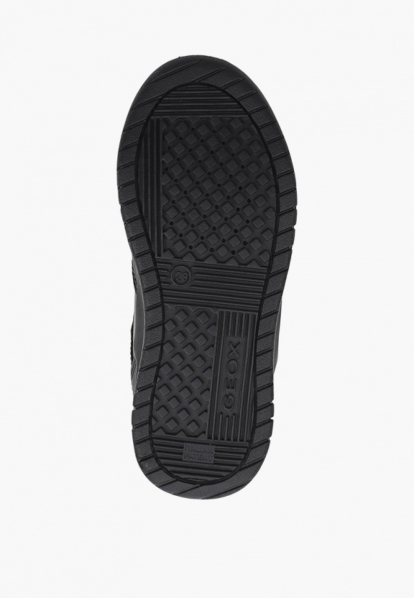 фото Кеды geox