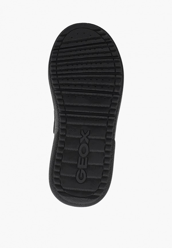 фото Кеды geox