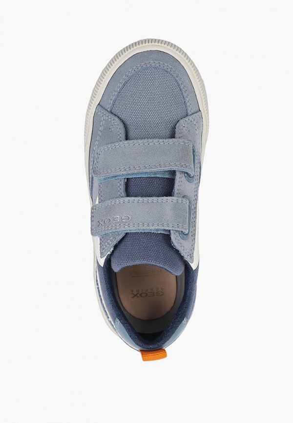 фото Кеды geox