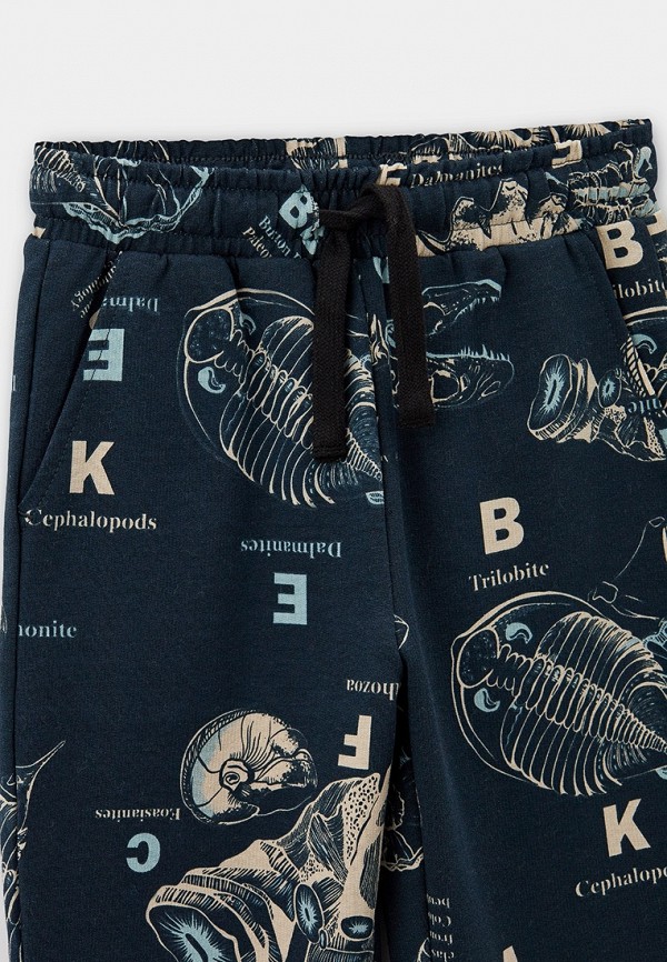 фото Брюки спортивные button blue