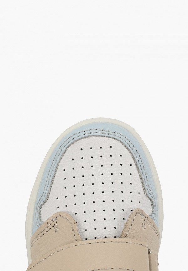 фото Кеды котофей