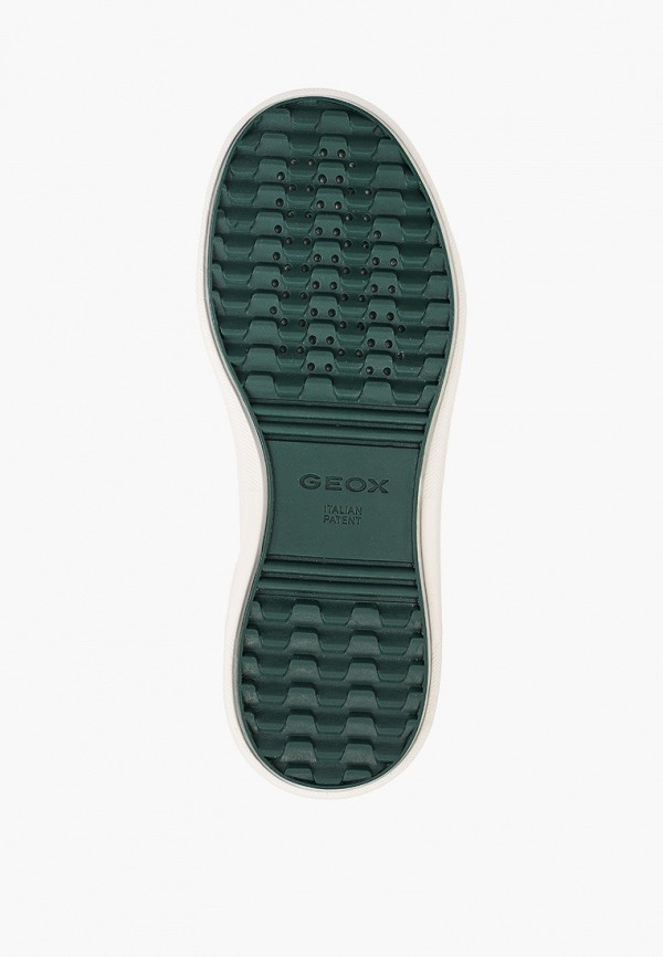 фото Кеды geox