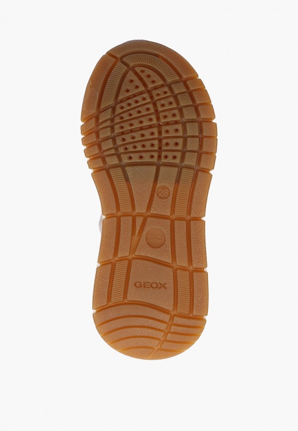 фото Кроссовки geox