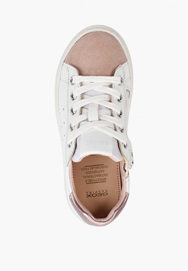 фото Кеды geox