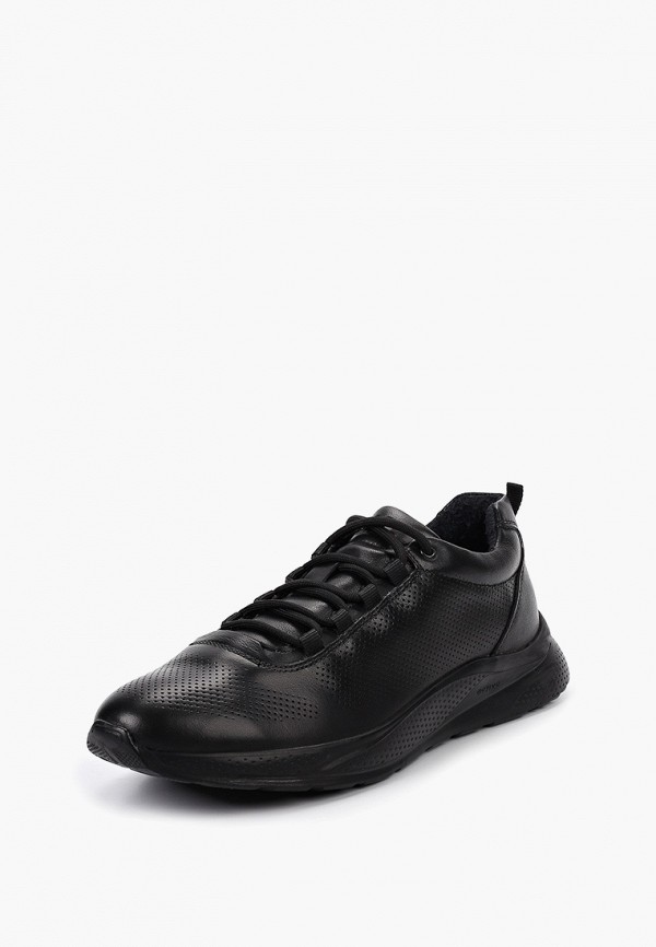 фото Кроссовки strobbs