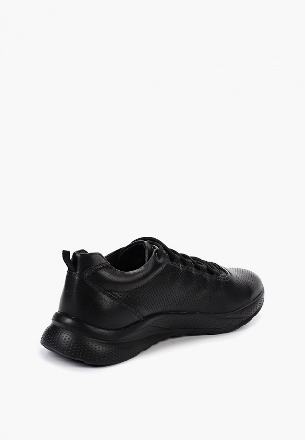 фото Кроссовки strobbs