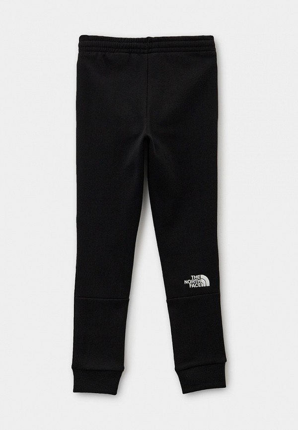 фото Брюки спортивные the north face